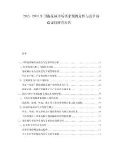 2025-2030中國泡花堿市場需求預(yù)測分析與競爭戰(zhàn)略規(guī)劃研究報(bào)告