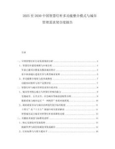 2025至2030中國(guó)智慧燈桿多功能整合模式與城市管理需求契合度報(bào)告