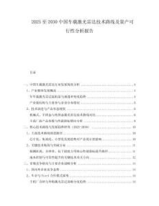 2025至2030中國車載激光雷達(dá)技術(shù)路線及量產(chǎn)可行性分析報(bào)告