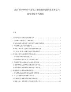 2025至2030空氣凈化行業(yè)自媒體營(yíng)銷(xiāo)效果評(píng)估與內(nèi)容策略研究報(bào)告