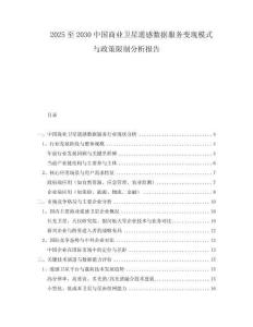 2025至2030中國(guó)商業(yè)衛(wèi)星遙感數(shù)據(jù)服務(wù)變現(xiàn)模式與政策限制分析報(bào)告