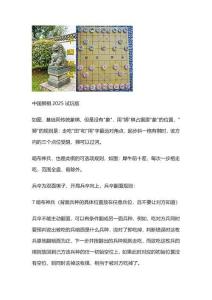 中國獅棋2025