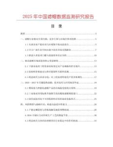 2025年中國(guó)濾帽數(shù)據(jù)監(jiān)測(cè)研究報(bào)告