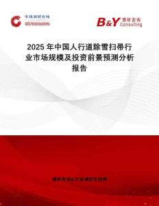 2025年中国人行道除雪扫帚行业市场规模及投资前景预测分析报告