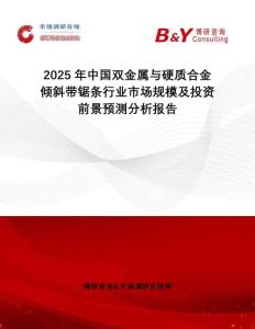 2025年中國雙金屬與硬質(zhì)合金傾斜帶鋸條行業(yè)市場規(guī)模及投資前景預(yù)測分析報告
