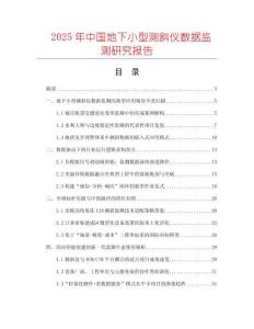 2025年中國地下小型測斜儀數據監測研究報告
