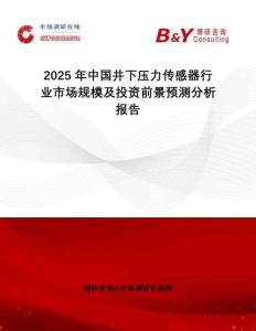 2025年中國井下壓力傳感器行業(yè)市場規(guī)模及投資前景預測分析報告