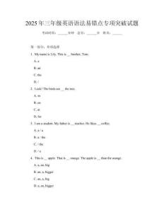 2025年三年級英語語法易錯點專項突破試題