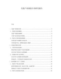 毛毯產(chǎn)業(yè)規(guī)劃專項(xiàng)研究報(bào)告
