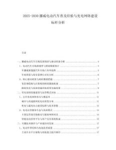 2025-2030挪威電動汽車普及經(jīng)驗(yàn)與充電網(wǎng)絡(luò)建設(shè)標(biāo)桿分析