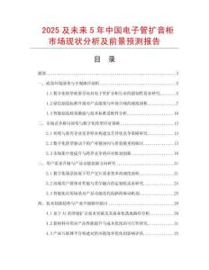 2025及未來5年中國電子管擴(kuò)音柜市場現(xiàn)狀分析及前景預(yù)測報(bào)告