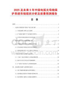 2025及未來5年中國電弧光母線保護(hù)系統(tǒng)市場現(xiàn)狀分析及前景預(yù)測報(bào)告