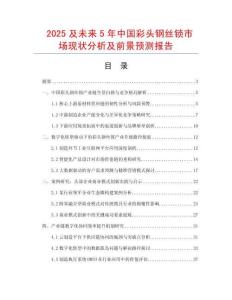 2025及未來5年中國彩頭鋼絲鎖市場現(xiàn)狀分析及前景預測報告