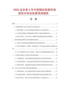 2025及未來(lái)5年中國(guó)銅絲輪刷市場(chǎng)現(xiàn)狀分析及前景預(yù)測(cè)報(bào)告