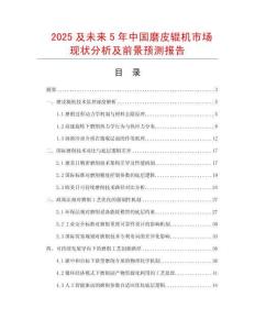 2025及未來5年中國磨皮輥機市場現(xiàn)狀分析及前景預(yù)測報告