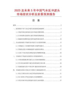 2025及未來5年中國(guó)氣水反沖濾頭市場(chǎng)現(xiàn)狀分析及前景預(yù)測(cè)報(bào)告