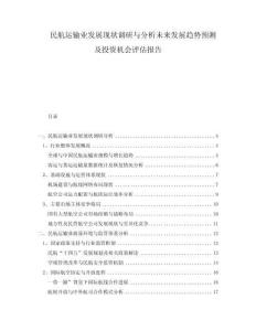 民航運輸業(yè)發(fā)展現(xiàn)狀調(diào)研與分析未來發(fā)展趨勢預(yù)測及投資機(jī)會評估報告