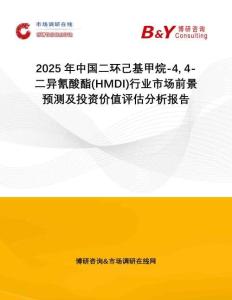 2025年中國(guó)二環(huán)己基甲烷-4 4-二異氰酸酯(HMDI)行業(yè)市場(chǎng)前景預(yù)測(cè)及投資價(jià)值評(píng)估分析報(bào)告