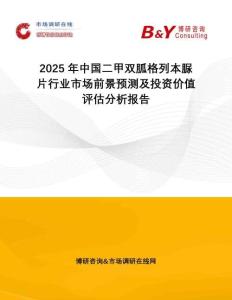 2025年中國二甲雙胍格列本脲片行業(yè)市場前景預(yù)測及投資價值評估分析報告