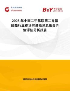 2025年中國(guó)二甲基聯(lián)苯二異氰酸酯行業(yè)市場(chǎng)前景預(yù)測(cè)及投資價(jià)值評(píng)估分析報(bào)告