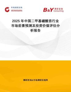 2025年中國二甲基硼酸芴行業(yè)市場前景預(yù)測及投資價值評估分析報告