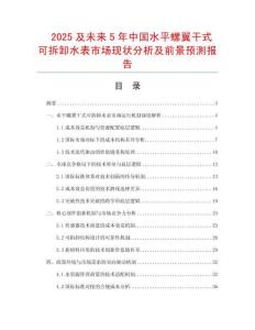 2025及未來5年中國(guó)水平螺翼干式可拆卸水表市場(chǎng)現(xiàn)狀分析及前景預(yù)測(cè)報(bào)告