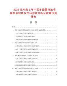 2025及未來(lái)5年中國(guó)多路蓄電池容量檢測(cè)放電儀市場(chǎng)現(xiàn)狀分析及前景預(yù)測(cè)報(bào)告