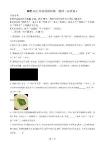 2025年安徽省滁州市全椒县中考一模物理试题-A4