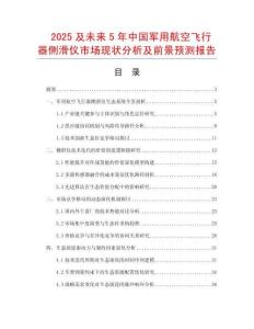 2025及未來5年中國軍用航空飛行器側(cè)滑儀市場現(xiàn)狀分析及前景預(yù)測報告