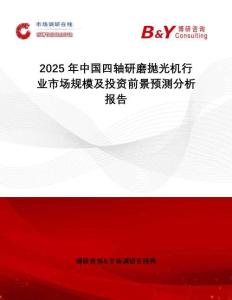 2025年中國四軸研磨拋光機行業(yè)市場規(guī)模及投資前景預測分析報告