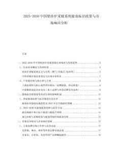 2025-2030中國壁掛爐采暖系統能效標識政策與市場響應分析