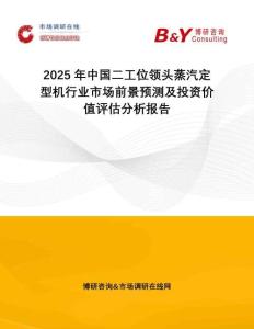 2025年中國二工位領(lǐng)頭蒸汽定型機(jī)行業(yè)市場前景預(yù)測及投資價值評估分析報告