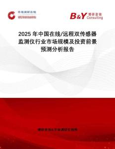 2025年中國在線 遠程雙傳感器監(jiān)測儀行業(yè)市場規(guī)模及投資前景預(yù)測分析報告