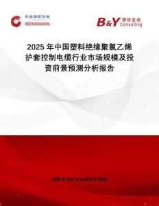 2025年中國塑料絕緣聚氯乙烯護(hù)套控制電纜行業(yè)市場規(guī)模及投資前景預(yù)測分析報告