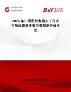2025年中國塑膠電鍍加工行業(yè)市場(chǎng)規(guī)模及投資前景預(yù)測(cè)分析報(bào)告