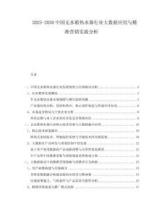 2025-2030中國無水箱熱水器行業大數據應用與精準營銷實踐分析
