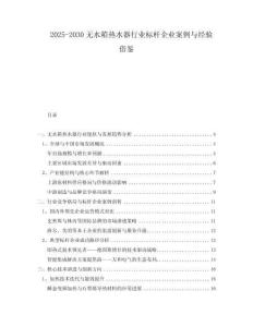 2025-2030無水箱熱水器行業標桿企業案例與經驗借鑒