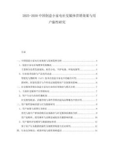 2025-2030中國創意小家電社交媒體營銷效果與用戶黏性研究