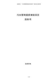 污水管網(wǎng)提質(zhì)增效項目投標書