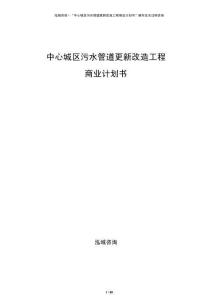 中心城區污水管道更新改造工程商業計劃書