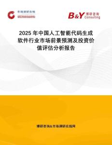 2025年中國人工智能代碼生成軟件行業(yè)市場前景預(yù)測及投資價值評估分析報告