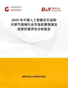 2025年中國人工智能在石油和天然氣領(lǐng)域行業(yè)市場(chǎng)前景預(yù)測(cè)及投資價(jià)值評(píng)估分析報(bào)告
