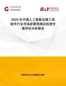 2025年中國人工智能治理工具軟件行業(yè)市場前景預(yù)測及投資價值評估分析報告