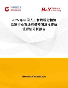 2025年中國人工智能視覺檢測系統(tǒng)行業(yè)市場前景預(yù)測及投資價(jià)值評估分析報(bào)告