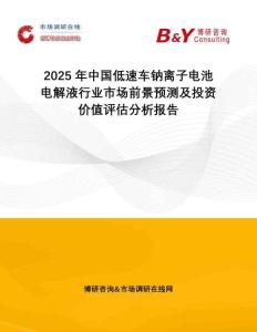 2025年中國低速車鈉離子電池電解液行業(yè)市場前景預(yù)測及投資價值評估分析報告