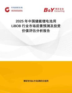 2025年中国储能锂电池用LiBOB行业市场前景预测及投资价值评估分析报告