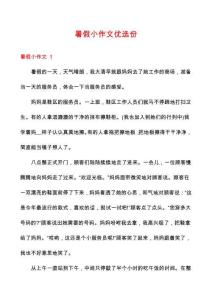 暑假小作文優選份