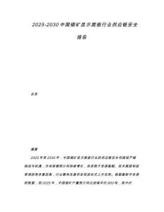 2025-2030中國銦礦顯示面板行業(yè)供應(yīng)鏈安全報告