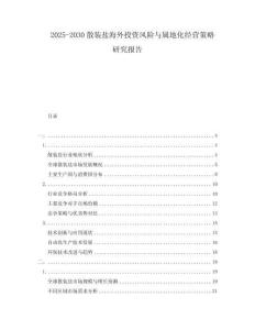 2025-2030散裝鹽海外投資風(fēng)險與屬地化經(jīng)營策略研究報告