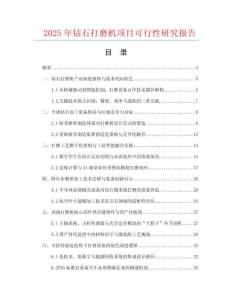 2025年鉆石打磨機(jī)項(xiàng)目可行性研究報(bào)告